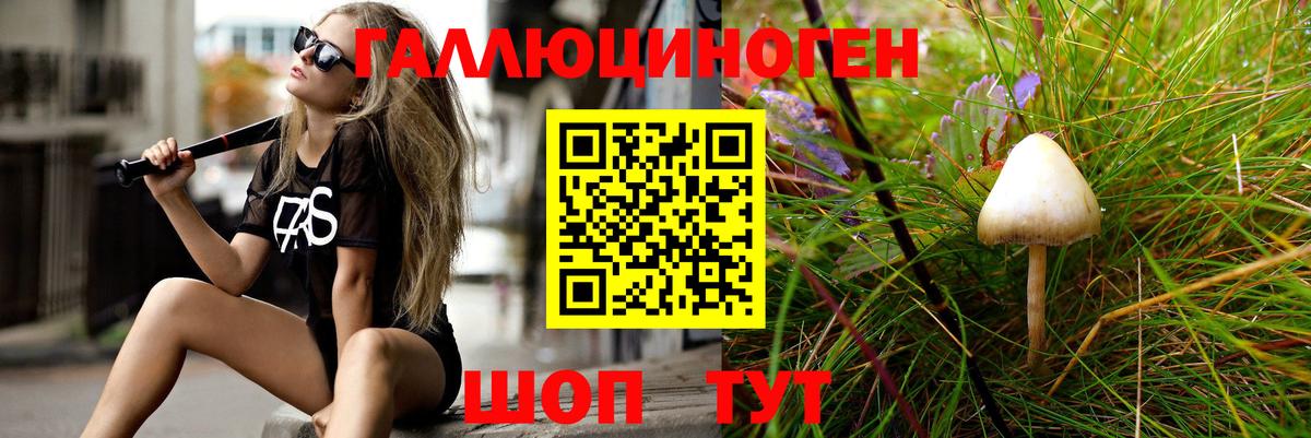 Псилоцибиновые грибы Cubensis Артёмовский
